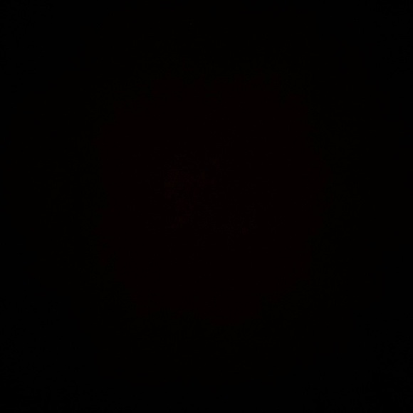 Meet your Posher, Sophia - Picture 1 of 1